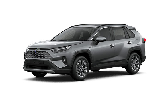 RAV4 - Cinza Granito