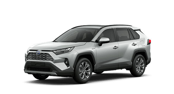 RAV4 - Prata Névoa